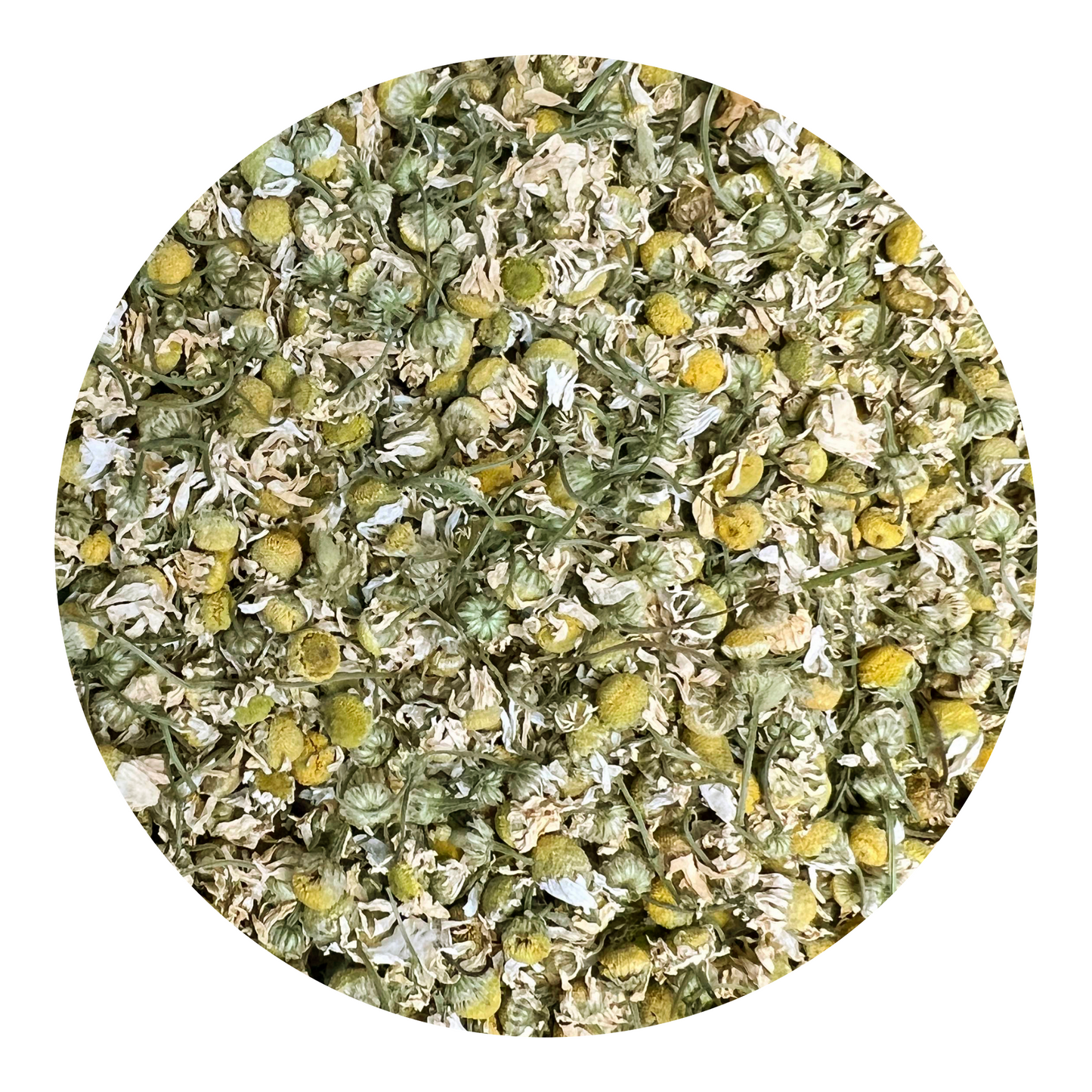 Chamomile